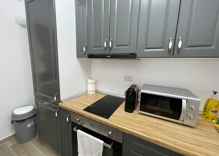 Moghioros C3 Apartment Bucharest