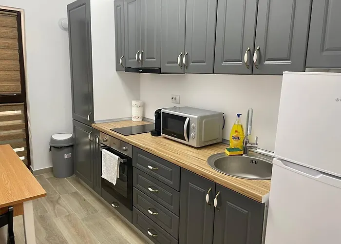 Apartment Moghioros C3 Bucharest